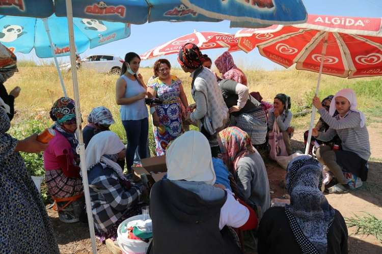 PAMUK TARLASINDA ÇALIŞAN KADINLAR ZİYARET EDİLDİ 